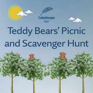 Teddy Bears’ Picnic